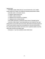 Referāts 'Latviešu darba meklējumi ārzemēs', 19.