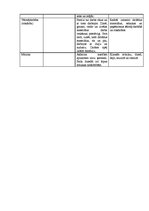 Referāts 'Sešus gadus vecu bērnu sagatavotība 1.klasei Talsos', 40.