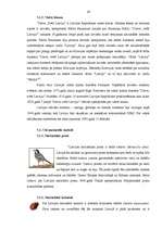 Referāts 'Nacionālie un valstiskie simboli mārketingā', 14.