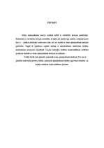 Referāts 'Masu apkalpošanas modeļi', 2.