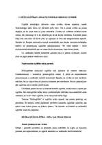 Referāts 'Tālākizglītības modernizācija, perspektīvas un nākotnes vajadzības Latvijā', 11.