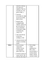 Konspekts 'Krētas un Mikēnu kultūras salīdzinājums', 4.