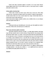 Referāts 'Apģērbi viduslaiku Rīgā', 5.