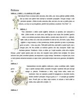 Referāts 'Apģērbi viduslaiku Rīgā', 9.