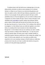 Referāts 'Reklāmas baneri', 3.