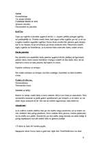 Referāts 'Darbs birojā', 9.