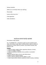 Referāts 'Darbs birojā', 15.