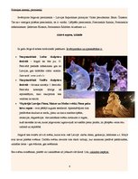 Konspekts 'Pētījums par Jelgavu', 6.