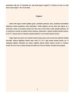 Konspekts 'Pētījums par Jelgavu', 8.