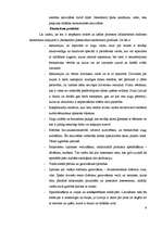 Referāts 'Ekotūrisms', 9.