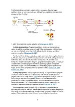Referāts 'Vēža ģenētiskie un bioķīmiskie aspekti', 7.
