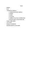 Referāts 'AS "Latvijas balzams" stipro un vājo pušu novērtējums', 2.