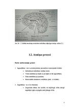 Referāts 'Atmiņa, tās procesi un veidi', 8.