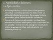 Prezentācija 'Latvijas aizvēsture', 27.