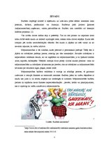 Referāts 'Mājsaimniecības budžets', 5.