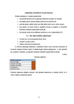 Referāts 'Mājsaimniecības budžets', 12.