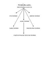 Referāts 'Privāttiesības', 6.