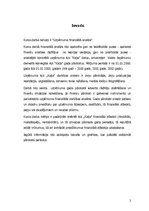 Referāts 'AS "Kaija" finansiālā stāvokļa analīze', 2.