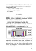 Referāts 'AS "Kaija" finansiālā stāvokļa analīze', 17.