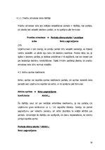 Referāts 'AS "Kaija" finansiālā stāvokļa analīze', 36.