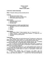 Konspekts 'Vēstures stunda 10.klasei - stundas plāns', 1.