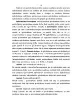 Diplomdarbs 'Apdrošināšanas fondu veidošanas problēmas Latvijā', 28.