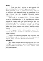 Referāts 'Darba vadīšana', 3.