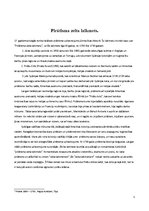 Referāts 'Pirātisma zelta laikmets', 5.