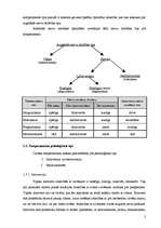 Referāts 'Temperamentu tipi', 5.