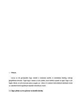 Referāts 'Rīgas pilsētas 19. un 20.gadsimtā sastādīto plānu analīze', 7.