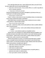 Referāts 'Rīgas pilsētas 19. un 20.gadsimtā sastādīto plānu analīze', 14.