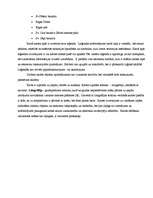 Referāts 'Rīgas pilsētas 19. un 20.gadsimtā sastādīto plānu analīze', 17.