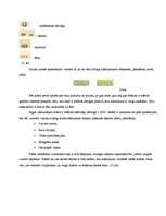 Referāts 'Rīgas pilsētas 19. un 20.gadsimtā sastādīto plānu analīze', 24.