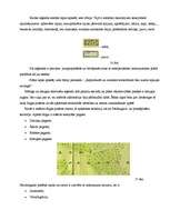 Referāts 'Rīgas pilsētas 19. un 20.gadsimtā sastādīto plānu analīze', 26.