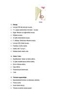 Referāts 'Rīgas pilsētas 19. un 20.gadsimtā sastādīto plānu analīze', 33.