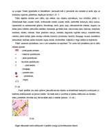 Referāts 'Rīgas pilsētas 19. un 20.gadsimtā sastādīto plānu analīze', 35.