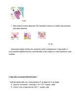 Referāts 'Rīgas pilsētas 19. un 20.gadsimtā sastādīto plānu analīze', 38.