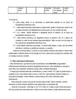 Referāts 'Rīgas pilsētas 19. un 20.gadsimtā sastādīto plānu analīze', 41.