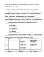 Referāts 'Rīgas pilsētas 19. un 20.gadsimtā sastādīto plānu analīze', 43.