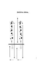 Konspekts 'Stafete', 4.