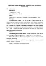 Prakses atskaite 'Ēdiena gatavošanas tehnoloģija', 8.