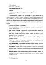 Prakses atskaite 'Ēdiena gatavošanas tehnoloģija', 13.