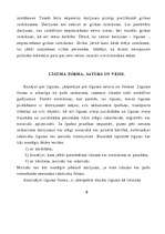 Referāts 'Darba līgumi', 8.