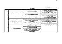 Referāts 'AS "Jelgavas cukurfabrika" mārketinga plāns', 13.