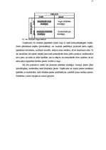 Referāts 'AS "Jelgavas cukurfabrika" mārketinga plāns', 17.