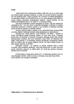 Referāts 'J.A.Komenska principi izglītības sistēmā', 3.