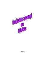 Referāts 'Maģiskie akmeņi un cilvēki', 1.