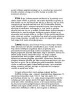 Referāts 'Maģiskie akmeņi un cilvēki', 8.