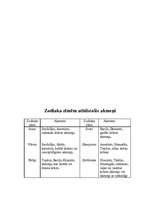 Referāts 'Maģiskie akmeņi un cilvēki', 14.