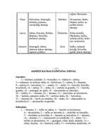 Referāts 'Maģiskie akmeņi un cilvēki', 15.